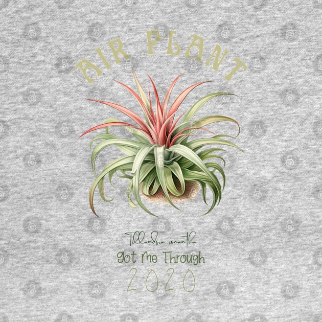 Air Plant, Botanical Illustration T-Shirt | Plant Lover Tee by Abystoic